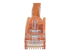 StarTech.com 100ft CAT6 Ethernet Cable, 10 Gigabit Snagless RJ45 650MHz 100W PoE Patch Cord, CAT 6 10GbE UTP Network Cable w/Strain Relief, Orange, Wiring is UL Certified/TIA - Nærbilde